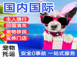 梅州航空快运国际宠物托运 【国